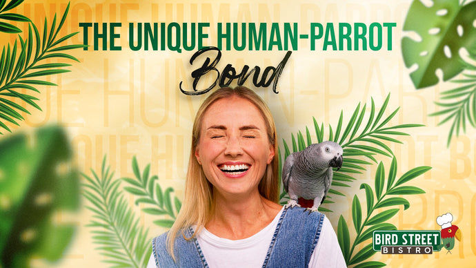 The Unique Human-Parrot Bond