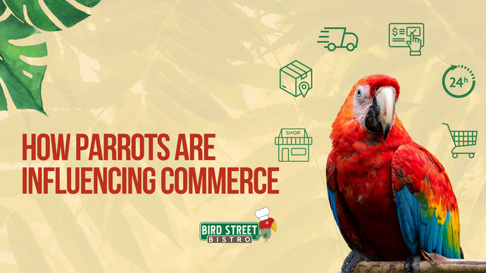 How Parrots are Influencing Commerce