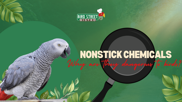 Non-stick Chemicals - Why Are They Dangerous to Birds?