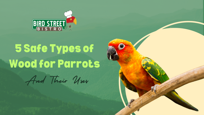 5 Safe Types of Wood for Parrots and Their Uses