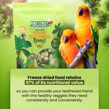 Load image into Gallery viewer, Green Goodness Boost - Parrot Veggies Mix
